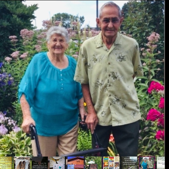 CREWNECK Sweater HUNTER GREEN 100% COTTON VNPLC Relativity Sz L - Picture 14 of 16